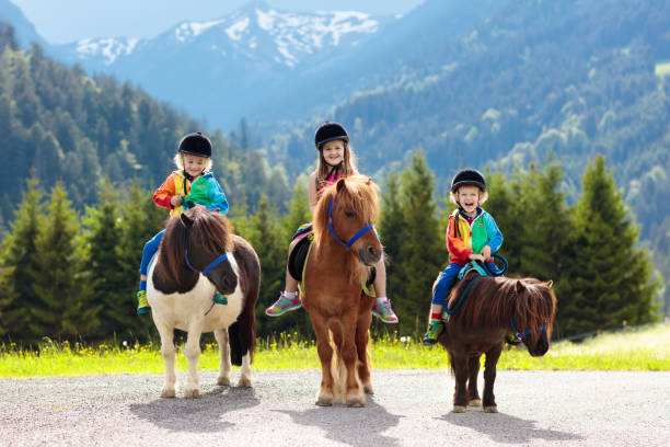 Kids riding pony. Child on horse in Alps mountains Kids riding pony in the Alps mountains. Family spring vacation on horse ranch in Austria, Tirol. Children ride horses. Kid taking care of animal. Child and pet. Little girl and boy in saddle on pony. pony photos stock pictures, royalty-free photos & images