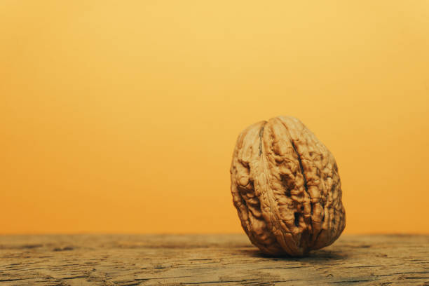 Big Walnut on a wooden table. Yellow background.