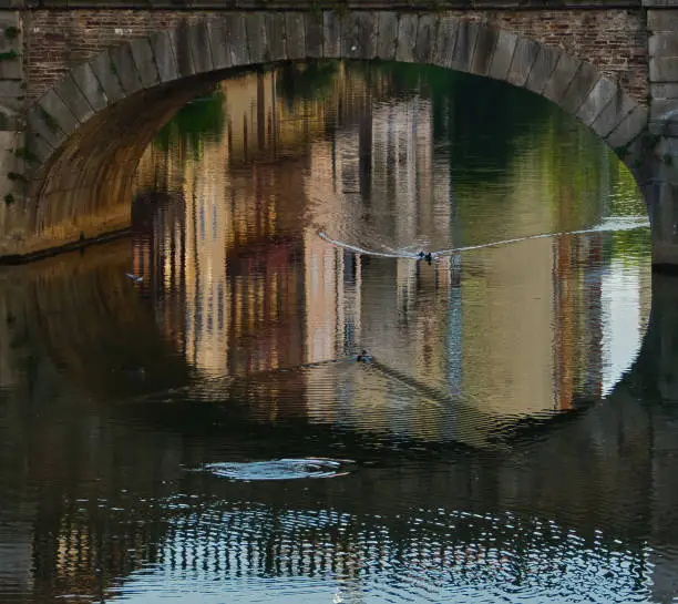 Duck swimming amid pastel colored reflections under a bridge over the Agout River in Castres in Southern France