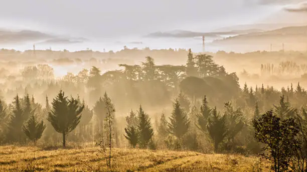 The rising sun playing on the autumn morning mist in Southwest France