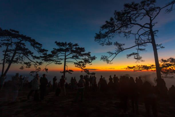 istock Phu Kradueng National Park, Thailand 1125716241