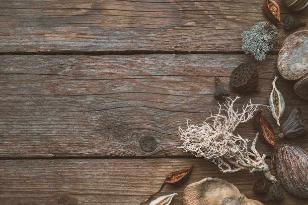 istock Dried roots, nut shell, coconuts, dry plants, eucalyptus, lotus seeds for floristic design on wooden board. Top view. Copy space for text. 1125717496