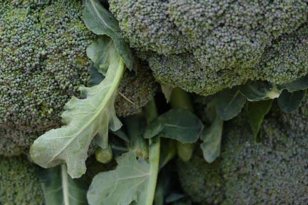 istock fresh green cauliflower in local market 1125717605