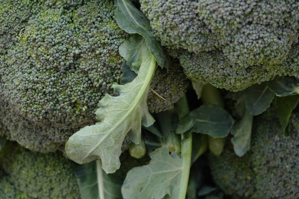 istock fresh green cauliflower in local market 1125717608