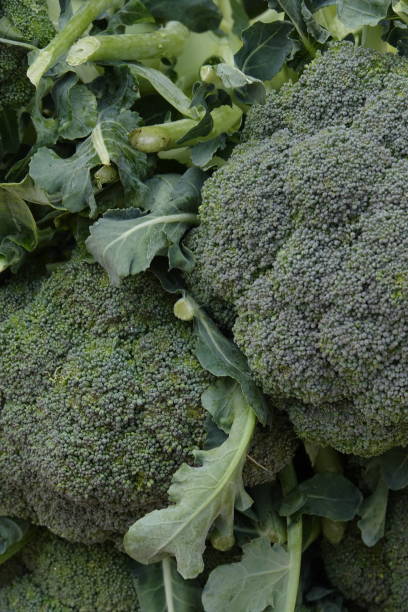 istock fresh green cauliflower in local market 1125717724