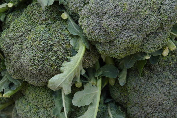 istock fresh green cauliflower in local market 1125717726