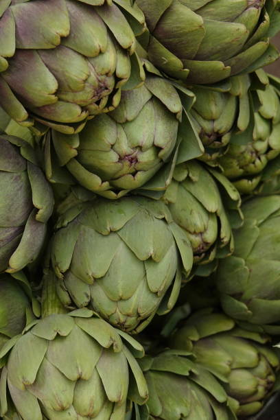 istock fresh green artichoke flower bud 1125718096