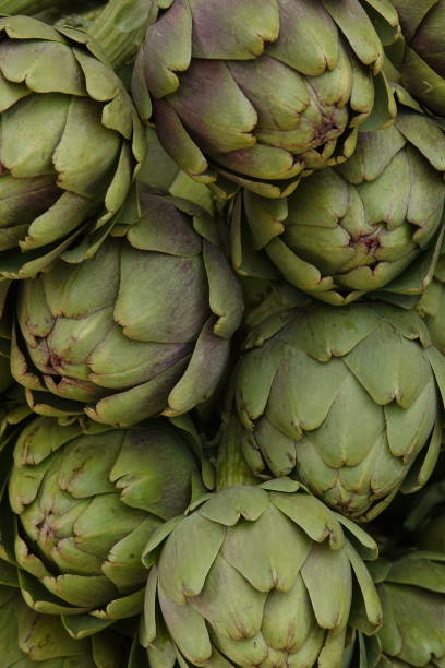 istock fresh green artichoke flower bud 1125718099