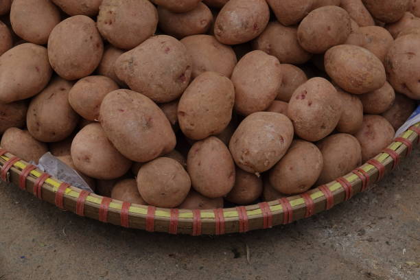 istock fresh fat potato in local market 1125718967