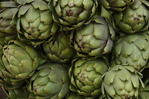 istock fresh green artichoke flower bud 1125718974
