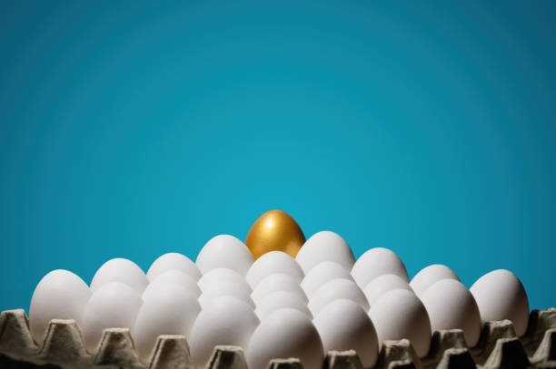istock Concept of individuality, exclusivity, better choice. 1125719606