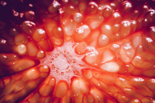 grapefruit closeup of a fresh orange
