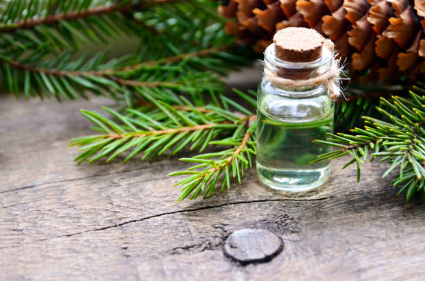 istock Fir essential oil in a glass bottle and green coniferous tree branches with cones on old wooden table.Spruce aroma oil for spa,aromatherapy and bodycare. 1125722869