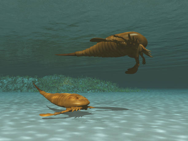 2 개의 eurypterids의 3d 그림 - paleozoic era 뉴스 사진 이미지