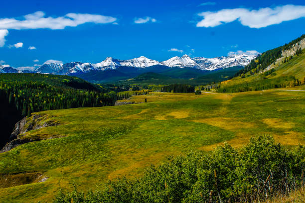 istock Blue skies highlight the green grass, Sheep River Provincial Park, Alberta, Canada 1125725271