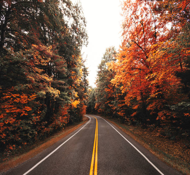 istock autumn season road in new england 1125725921