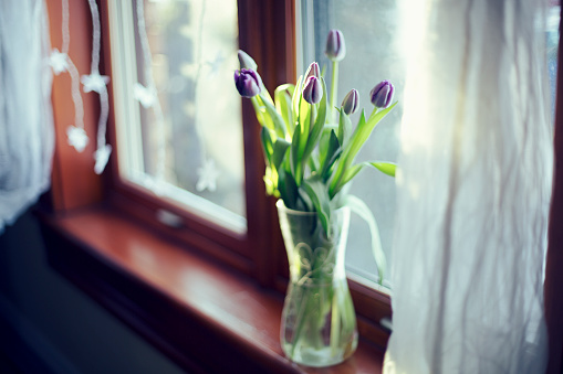 decoration, vase, flower, window sill