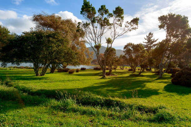 istock Beautiful View over Sete Cidades Park, Azores 1125731681
