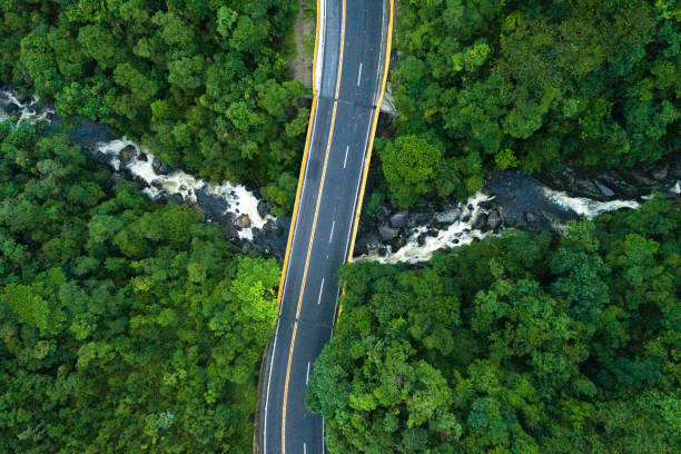istock Aerial View of road in a forest 1125734957