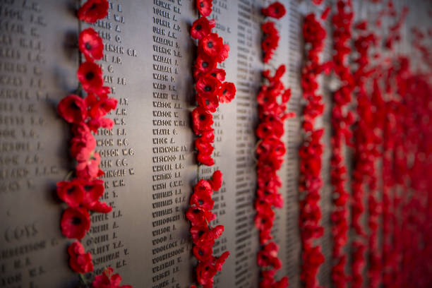 Australians lost in war, remembered Red poppies and the name of every soldier lost or killed in war line the massive walls of Canberra's Australian War Memorial. shrine photos stock pictures, royalty-free photos & images