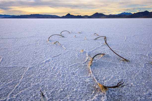 istock Bonneville Salt Flat at twilight 1125737105