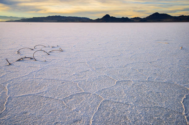 Bonneville Salt Flat at twilight