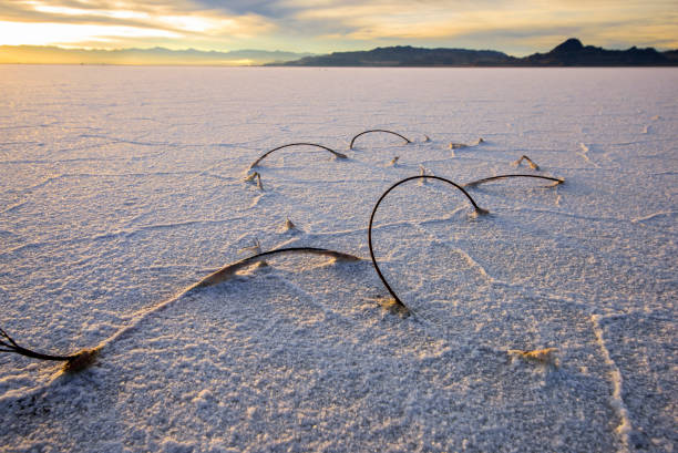 Bonneville Salt Flat at twilight