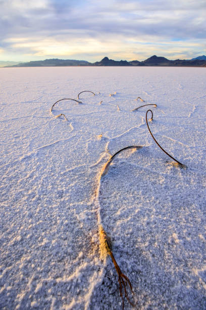 Bonneville Salt Flat at twilight