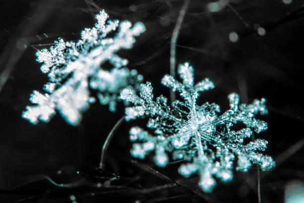 istock Snowflake on a balck background - macro photo 1125737257