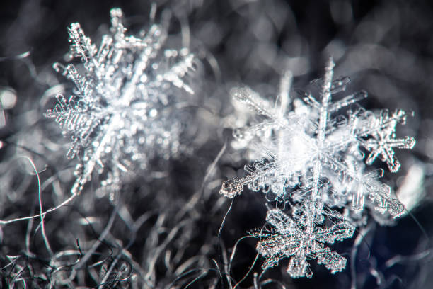 istock Snowflake on a defocused background - macro photo 1125739367