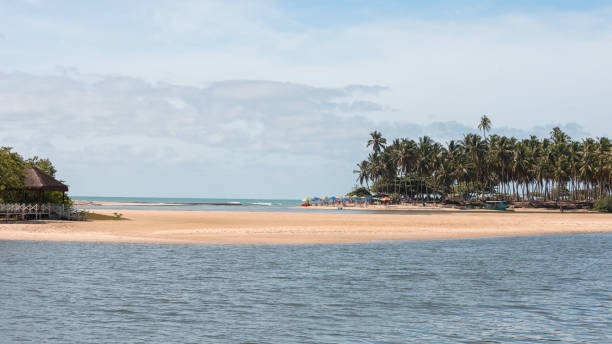 istock Dunas de Marape beach in Alagoas state, Brazil 1125739546
