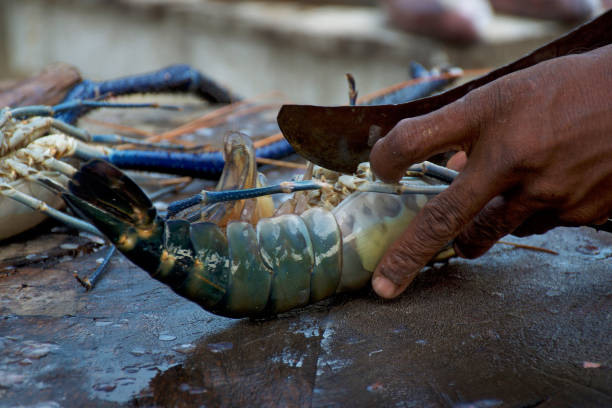 istock Cook cuts the lobster on the fish market 1125741614