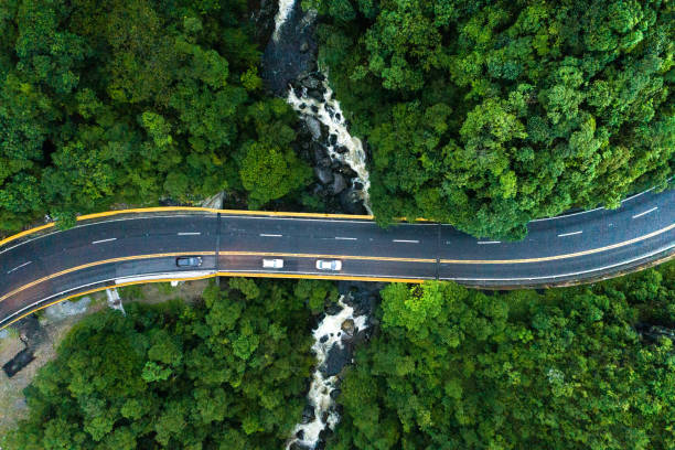 vista aérea del camino en un bosque - asphalt high angle view street traffic fotografías e imágenes de stock