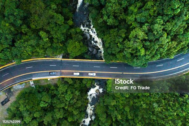 Aerial View Of Road In A Forest Stock Photo - Download Image Now - Road, Brazil, Bridge - Built Structure