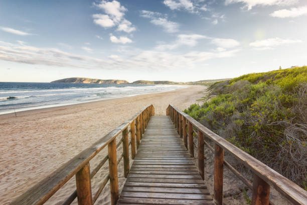 Footbridge down to the Robberg beach at Plettenberg Bay, South Africa stock photo