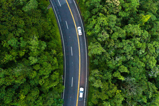 veduta aerea di una strada su una foresta - curve road winding road street foto e immagini stock