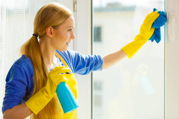 istock Girl cleaning window at home using detergent rag 1125748303