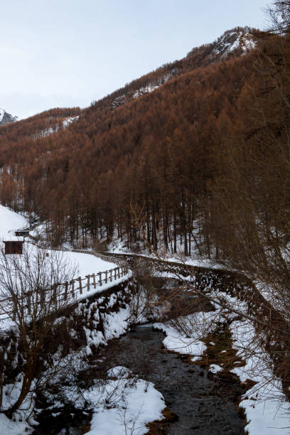 istock Chamois Torrent, Chamois, Italy 1125750642