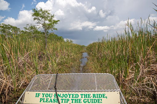 The swamp of the Everglades National Park, Florida, photographed from an airboat, with the front of the boat in the image.