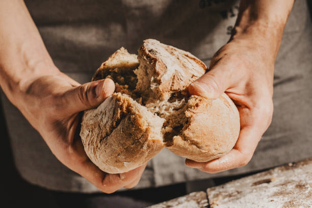 Baker or chef holding fresh made bread Baker or cooking chef holding fresh baked bread and breaking it in hands. Concept of cooking, successful businessman or start up. Closeup. Horizontal. baking bread photos stock pictures, royalty-free photos & images