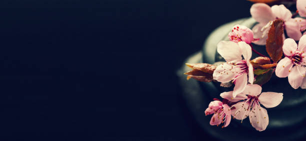 istock Spa dark background with flowers 1125758611