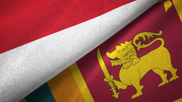 istock Sri Lanka and Indonesia two flags together textile cloth, fabric texture 1125758984