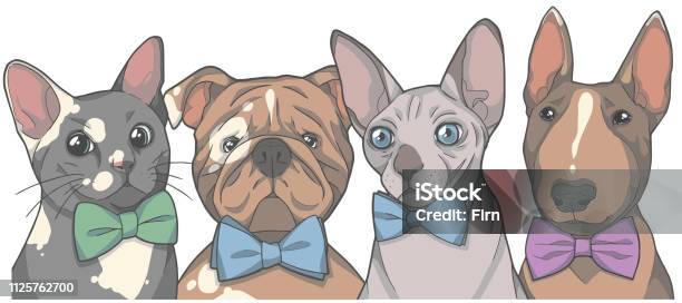 Pets With Bow Ties Graphic Illustrationd Drawn Vector Cats And Dogs Stock Illustration - Download Image Now