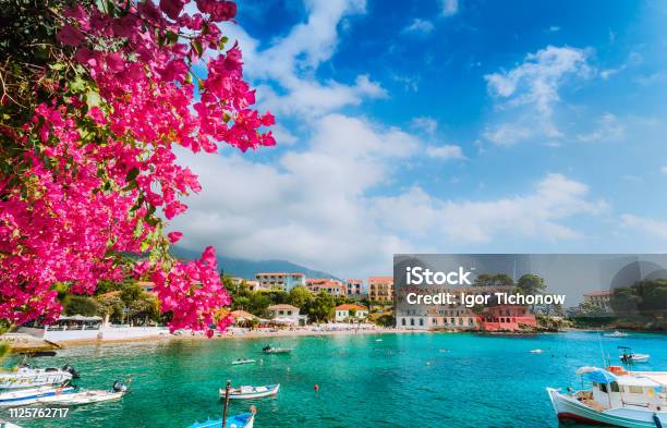 Beautiful Assos Village Scenery Framed With Branch Of Magenta Blossom Fuchsia Flower Summer Vacation Concept Stock Photo - Download Image Now