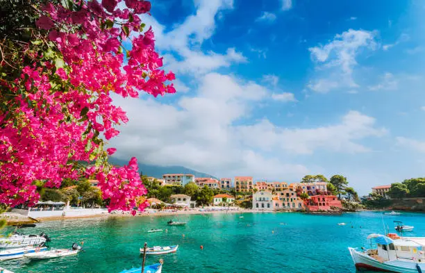 Beautiful Assos village scenery framed with branch of magenta blossom fuchsia flower. Summer vacation concept.