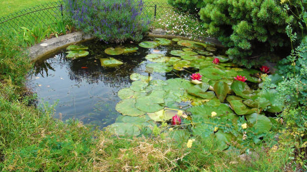 istock Garden flowers in Paris 1125763263