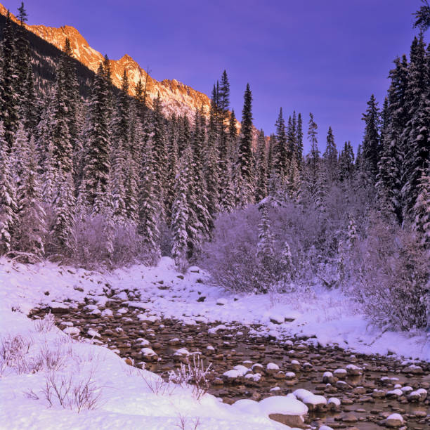 istock Jasper National Park in Alberta Canada 1125764665