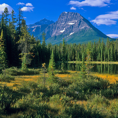 Mount Fryat in Jasper National Park