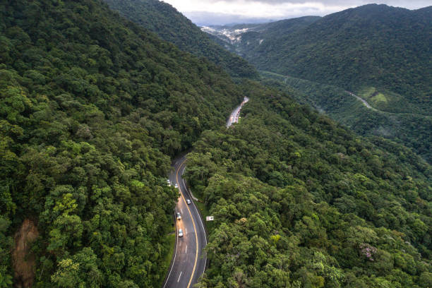 istock Aerial View of Curve Road in a Forest 1125768224