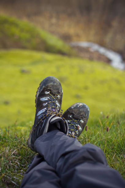 istock Resting on the green meadow in Iceland 1125770336
